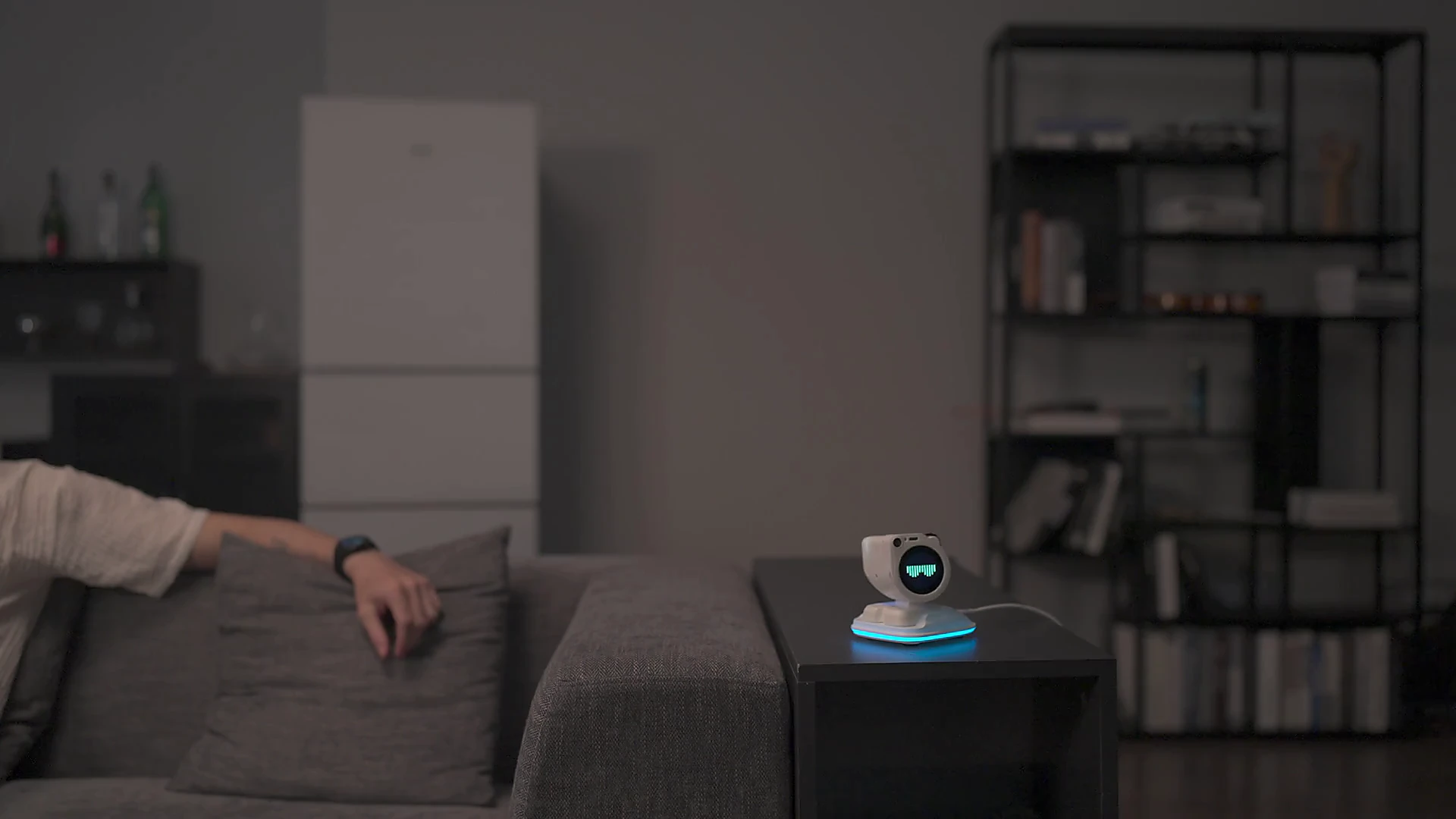 居家陪伴场景中的 WatcheRobot